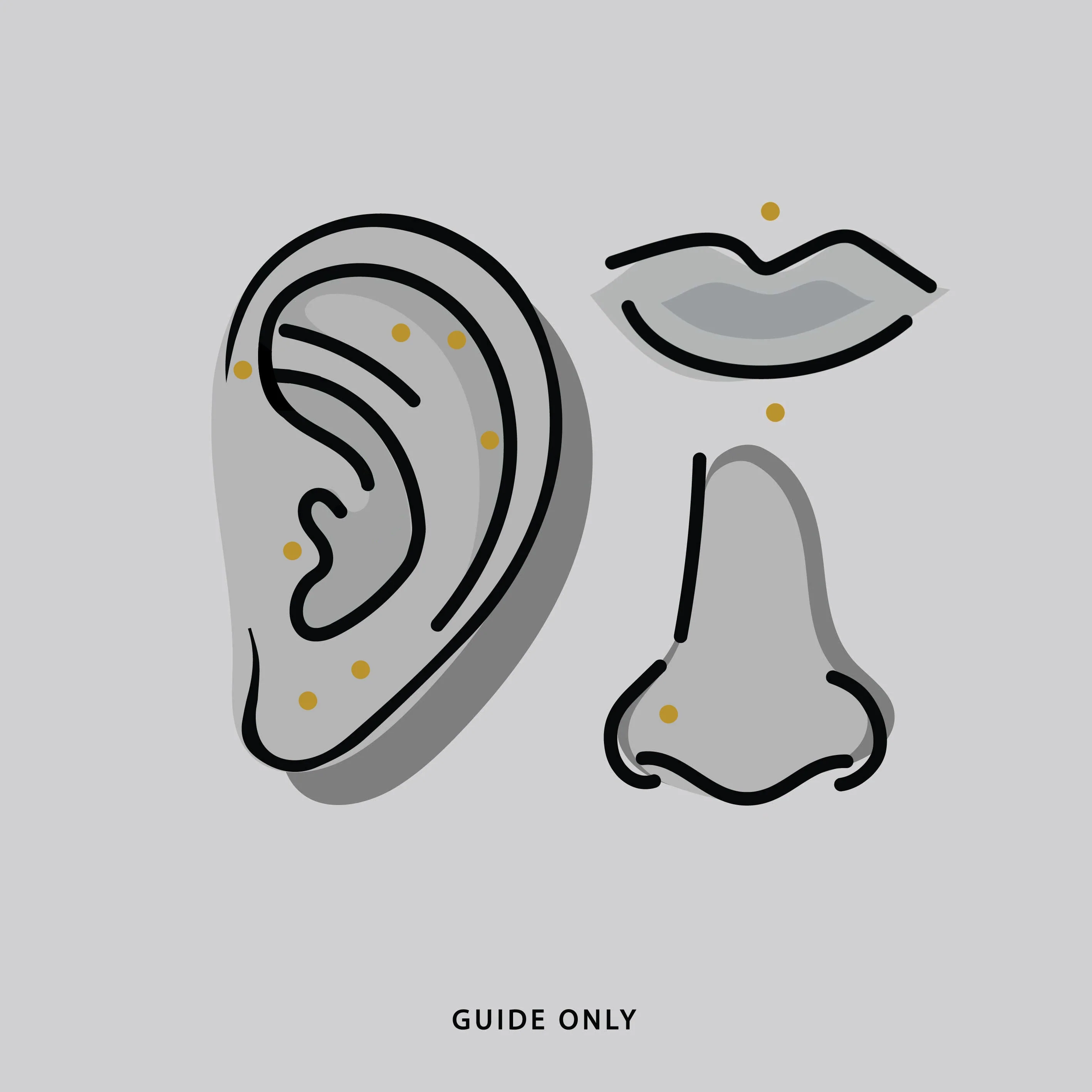 Titanium Flatback Stud - Gold - Image 2